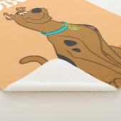 Couverture Sherpa Scooby-Doo Cuter Plus que mignonne (3/4)