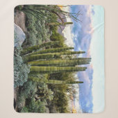 Couverture Sherpa Scottsdale Succulent Sunset (Devant)