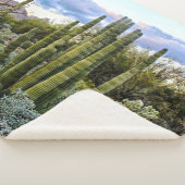 Couverture Sherpa Scottsdale Succulent Sunset (3/4)