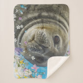 Couverture Sherpa Sealion de conte de Fairytale dans l'océan des fle (Devant)