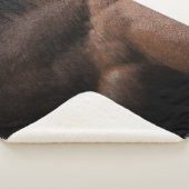 Couverture Sherpa Seattle (3/4)