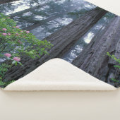 Couverture Sherpa Séquoias côtiers et rhododendrons (3/4)