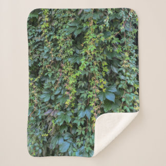 Couverture Sherpa Serene Green Ivy Wall Suspendre Vins Plantes Feuil