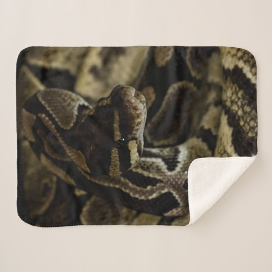 Couverture Sherpa Serpent noir Cool (Devant (Horizontal))