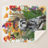 Couverture Sherpa Setter anglais (Devant (Horizontal))