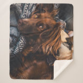 Couverture Sherpa Setter et Carlin irlandais (Devant)