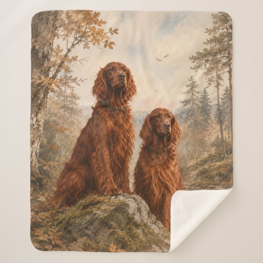 Couverture Sherpa Setter irlandais (Devant)