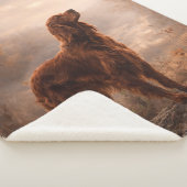 Couverture Sherpa Setter irlandais (3/4)