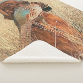 Couverture Sherpa Setter irlandais avec faisan (3/4)