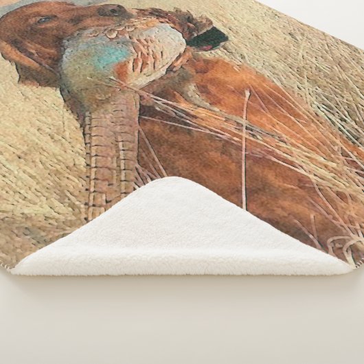 Couverture Sherpa Setter irlandais avec faisan (3/4)