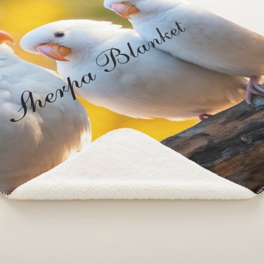 Couverture Sherpa Sherpa Blanket (3/4)