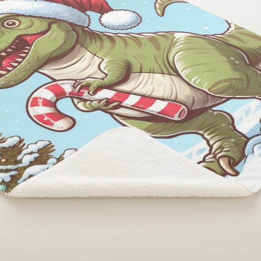 Couverture Sherpa Sherpa Blanket (3/4)