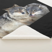 Couverture Sherpa Sherpa Blanket (3/4)