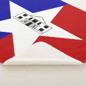 Couverture Sherpa Sherpa Blanket avec le drapeau de San Antonio (3/4)