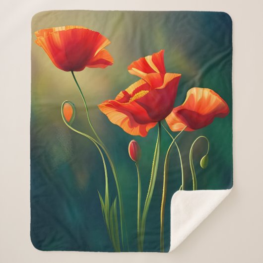 Couverture Sherpa Sherpacouverture (Devant)