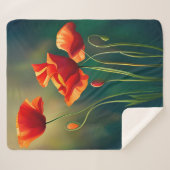 Couverture Sherpa Sherpacouverture (Devant (Horizontal))