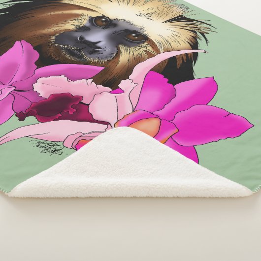 Couverture Sherpa Singe tamarin, Lion à tête dorée (3/4)