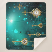 Couverture Sherpa Skeleton Keys on Green Background (Devant)