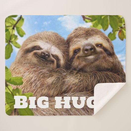 Couverture Sherpa Sloth Couple (Devant (Horizontal))