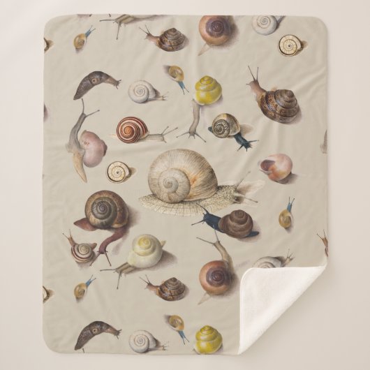 Couverture Sherpa Snail Slug Garden Pet Gastropod (Devant)