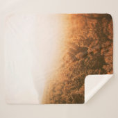 COUVERTURE SHERPA SOLEIL D'OR SUR UNE FORÊT (Devant (Horizontal))