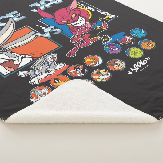 Couverture Sherpa SPACE JAM™ TUNE SQUAD™ VS Monstars Roster Graphic (3/4)