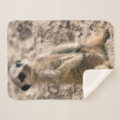 Couverture Sherpa stagiaire sentinelle (Devant (Horizontal))
