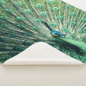 Couverture Sherpa Strut Peacock (3/4)