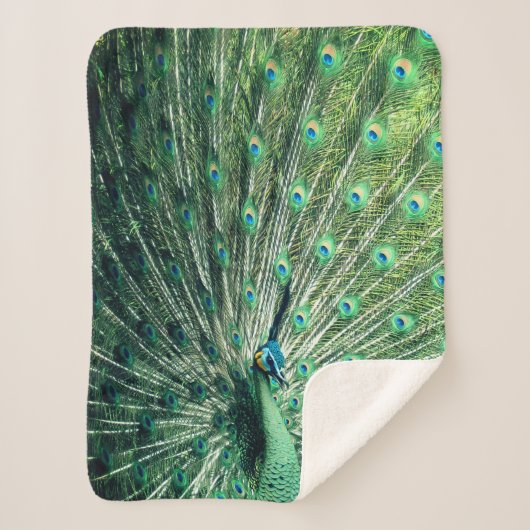 Couverture Sherpa Strut Peacock (Devant)