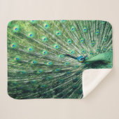 Couverture Sherpa Strut Peacock (Devant (Horizontal))