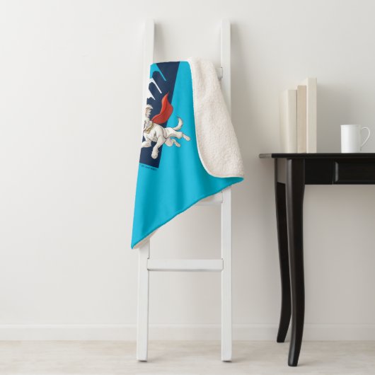 Couverture Sherpa Superman & Krypto Soar (En situation)