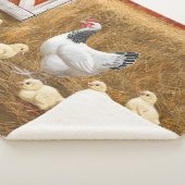 Couverture Sherpa Sussex Chicken Mama Hen et Chicks (3/4)