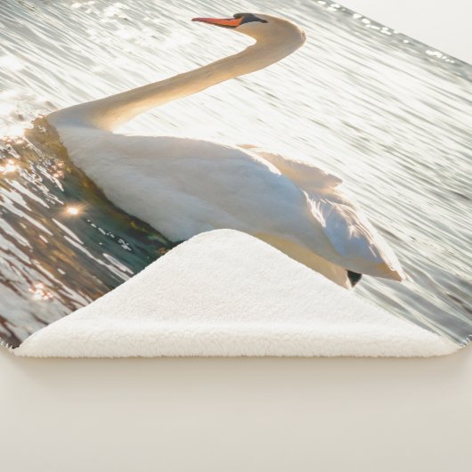 COUVERTURE SHERPA SWAN (3/4)