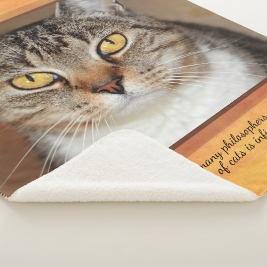 Couverture Sherpa Tabby gris (3/4)