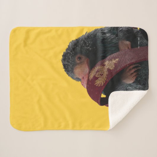 Couverture Sherpa Teddy With Tie Graphic (Devant (Horizontal))