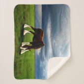 Couverture Sherpa Tempête de Clydesdale (Devant)