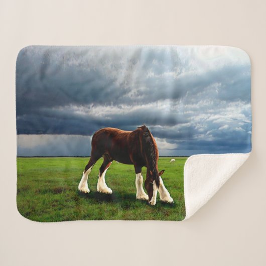 Couverture Sherpa Tempête de Clydesdale (Devant (Horizontal))