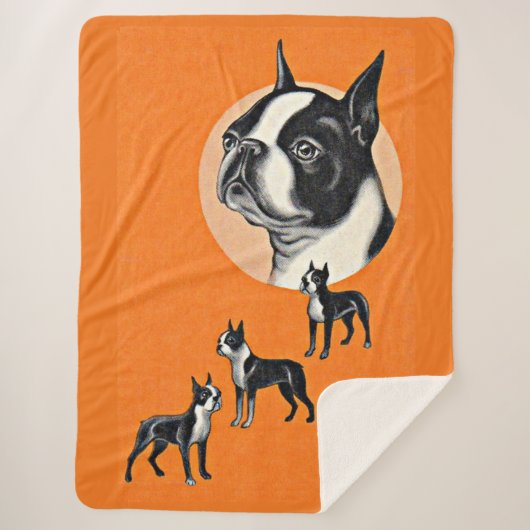 Couverture Sherpa terriers de Boston (Devant)