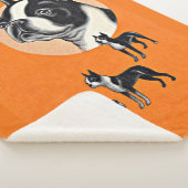 Couverture Sherpa terriers de Boston (3/4)