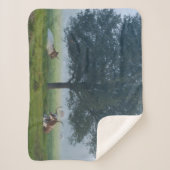 COUVERTURE SHERPA TEXAS LONGHORNS (Devant)