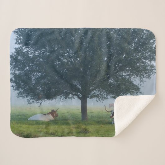 COUVERTURE SHERPA TEXAS LONGHORNS (Devant (Horizontal))