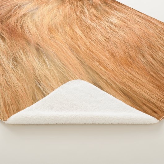 Couverture Sherpa Texture de fourrure de renard rouge (3/4)