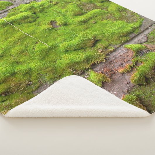 Couverture Sherpa texture de roche verte murale (3/4)