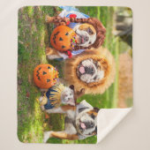Couverture Sherpa Three Bulldogs in Costumes (Devant)