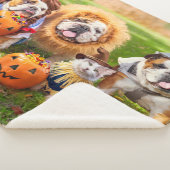 Couverture Sherpa Three Bulldogs in Costumes (3/4)