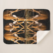 Couverture Sherpa Three Impala Drink Together at Night (Devant (Horizontal))