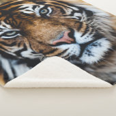 COUVERTURE SHERPA TIGER (3/4)