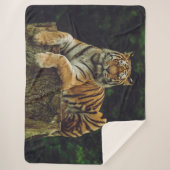 COUVERTURE SHERPA TIGER AU REPOS (Devant)