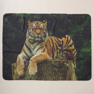 COUVERTURE SHERPA TIGER AU REPOS