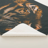 COUVERTURE SHERPA TIGER MAJESTIQUE (3/4)